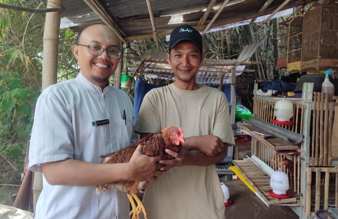 DT Peduli Yogyakarta Lakukan Monitoring dan Pendampingan Peternak Unggul Ayam Petelur   
