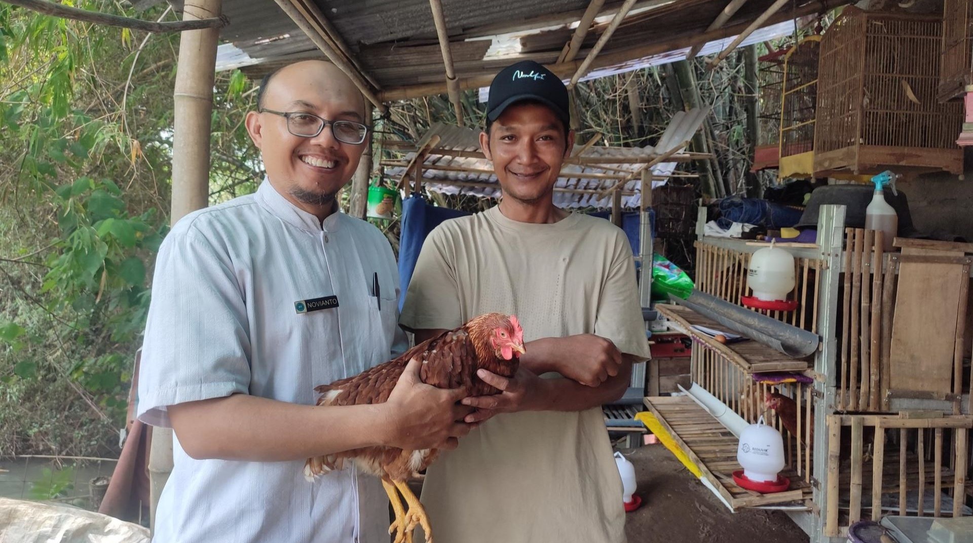 DT Peduli Yogyakarta Lakukan Monitoring dan Pendampingan Peternak Unggul Ayam Petelur   