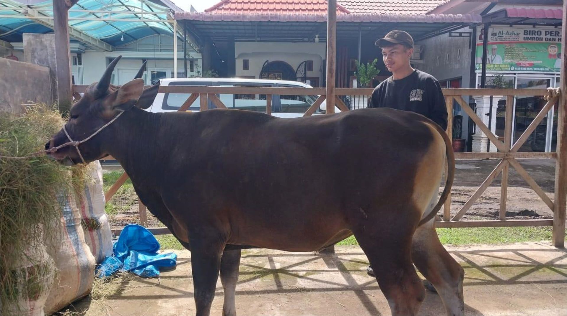 Persiapkan Qurban Terbaik, DT Peduli Sumbar Lakukan Survei ke Peternak di Pesisir Selatan 