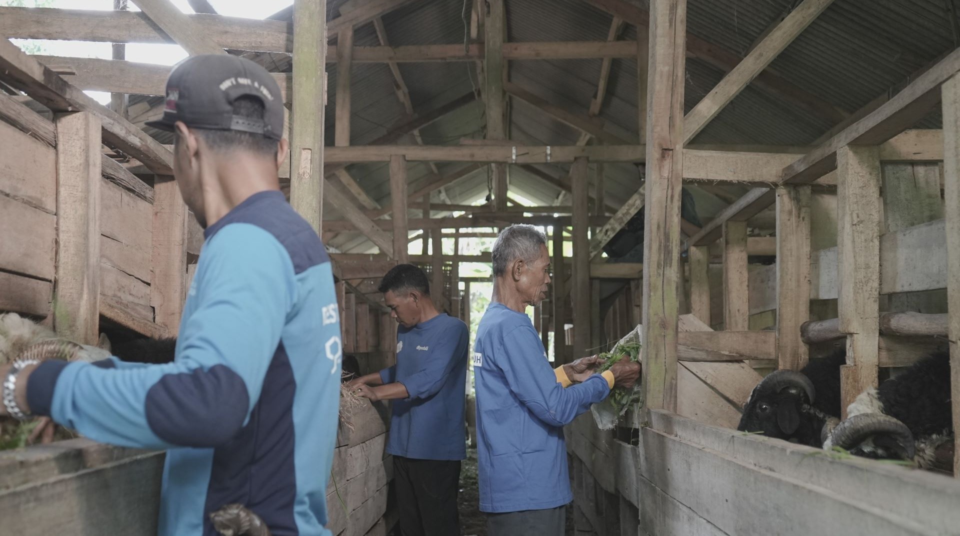 Berdaya, Peternak Unggul Tasikmalaya 