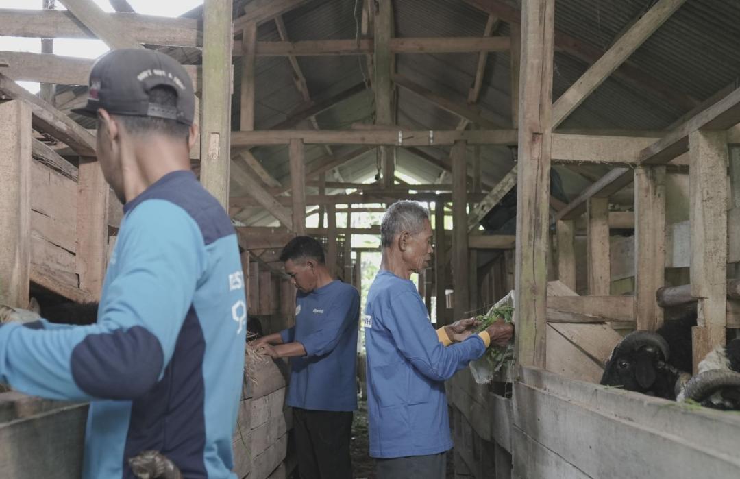 Berdaya, Peternak Unggul Tasikmalaya 