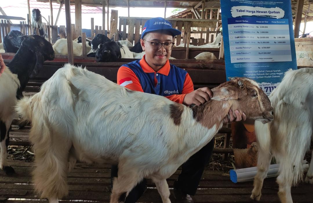 DT Peduli Kalimantan Selatan Persiapkan Ketersediaan Hewan Qurban Terbaik di Banjarbaru 