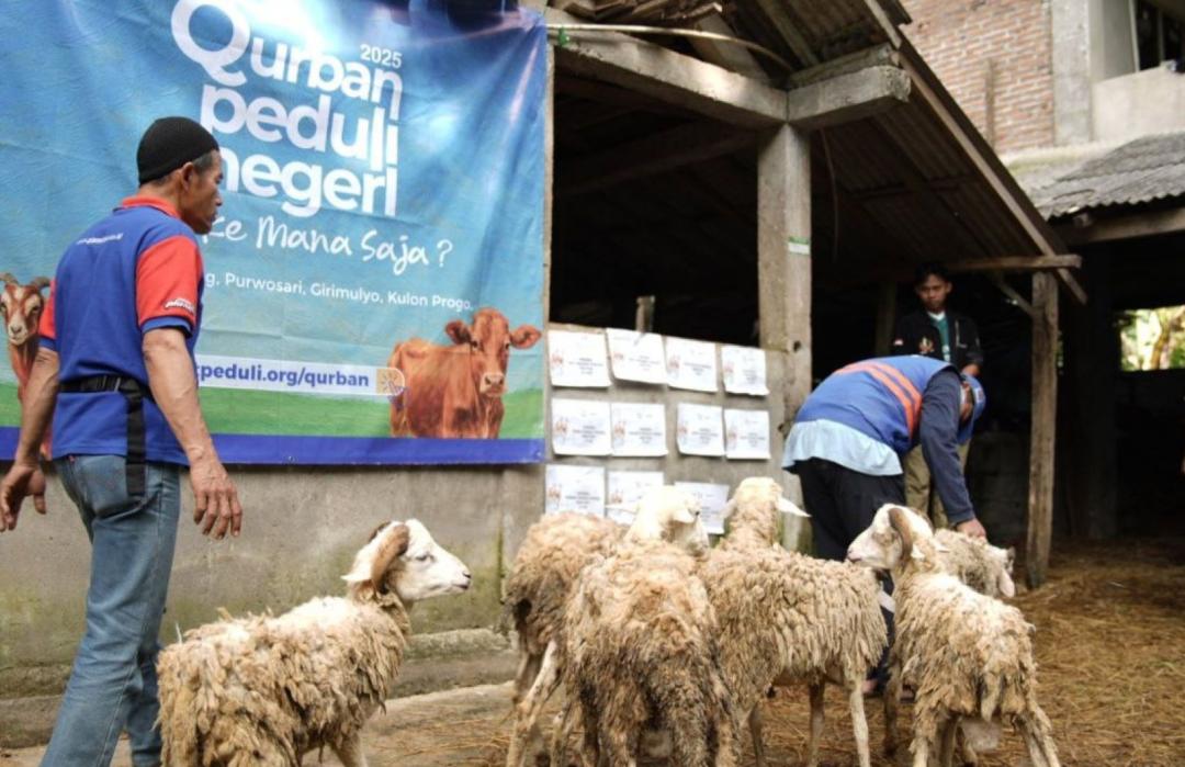 Saat Qurban Menjadi Pelita Iman di Tengah Rawan Akidah