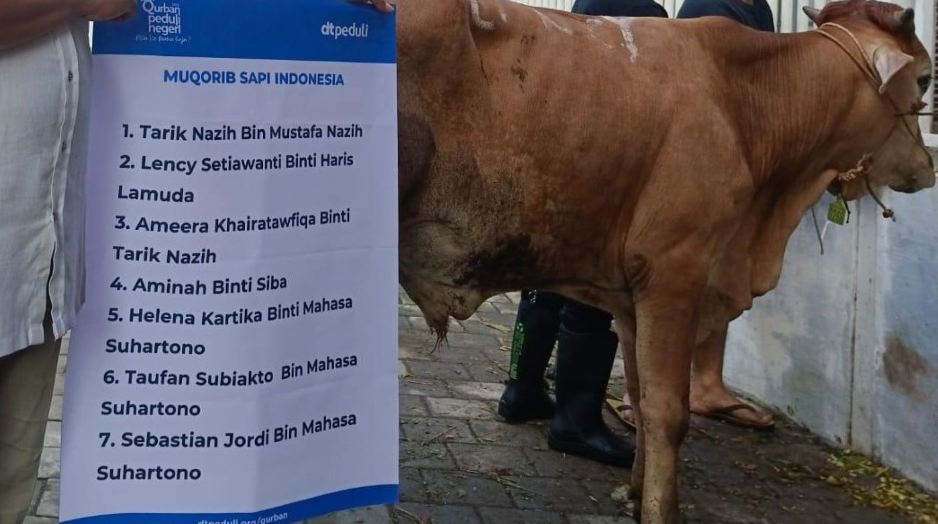 Bersama DT Peduli, Lency Lamuda Qurban Satu Sapi Istimewa 305 Kg untuk Janda Lansia di Cawang  