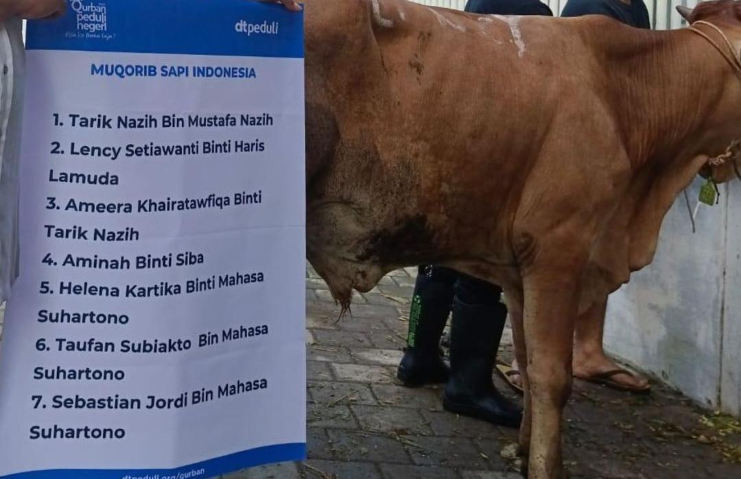 Bersama DT Peduli, Lency Lamuda Qurban Satu Sapi Istimewa 305 Kg untuk Janda Lansia di Cawang  