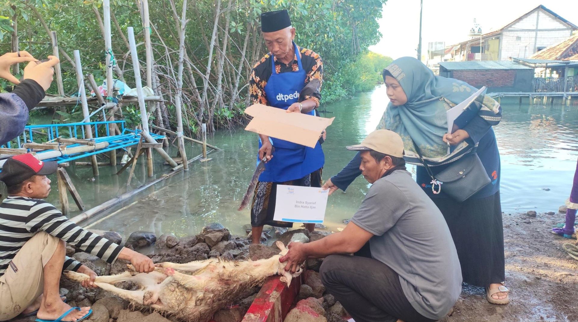 50 Ekor Domba Disalurkan, Warga Timbulsloko Rasakan Kebahagiaan Qurban 