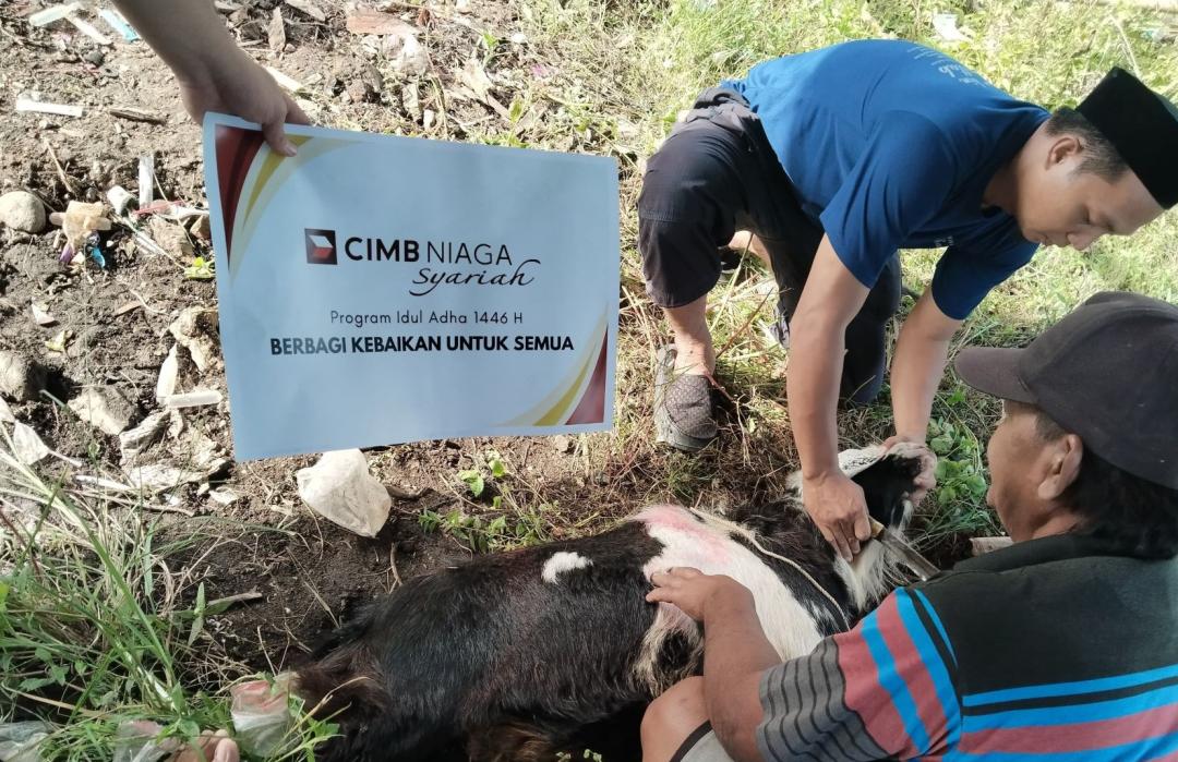 Bersama DT Peduli, CIMB Niaga Syariah Salurkan Lima Ekor Hewan Qurban di Makassar dan Gowa 