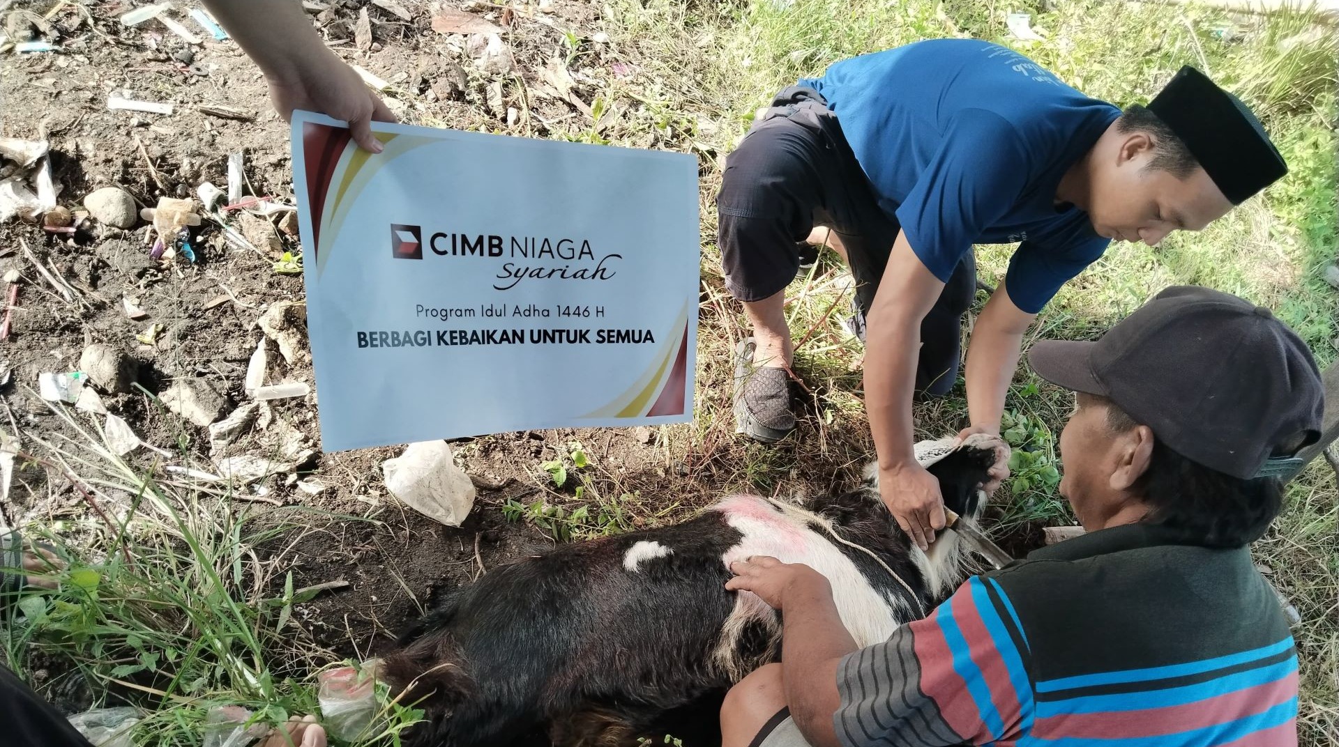 Bersama DT Peduli, CIMB Niaga Syariah Salurkan Lima Ekor Hewan Qurban di Makassar dan Gowa 