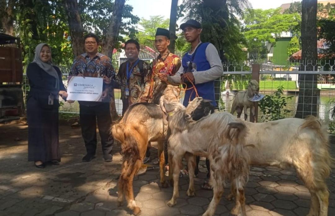 Sinergi Kebaikan CIMB Niaga Syariah Semarang dan DT Peduli Jateng di Momentum Qurban 2025 