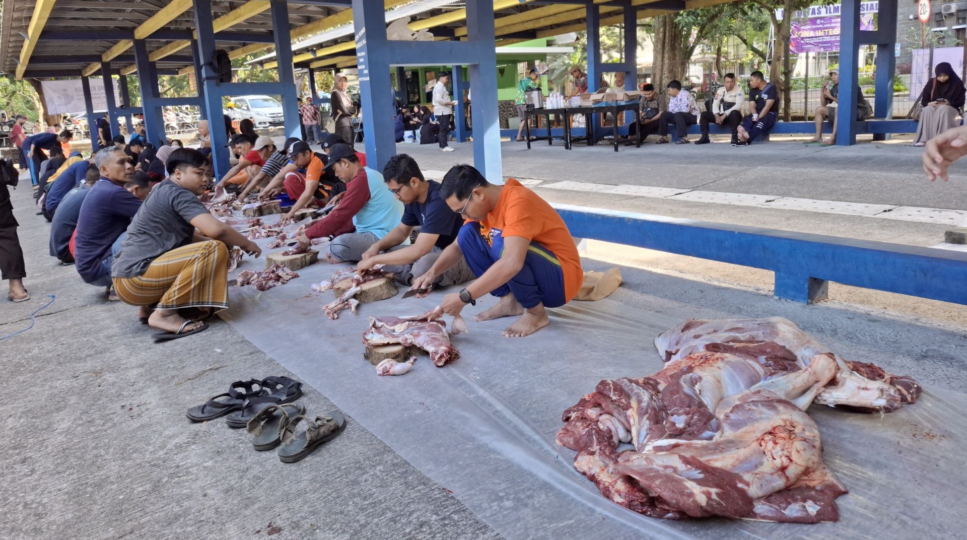 Qurban Ke Mana Saja, Program QPN 2025 Jangkau Pelosok Indonesia hingga Palestina 