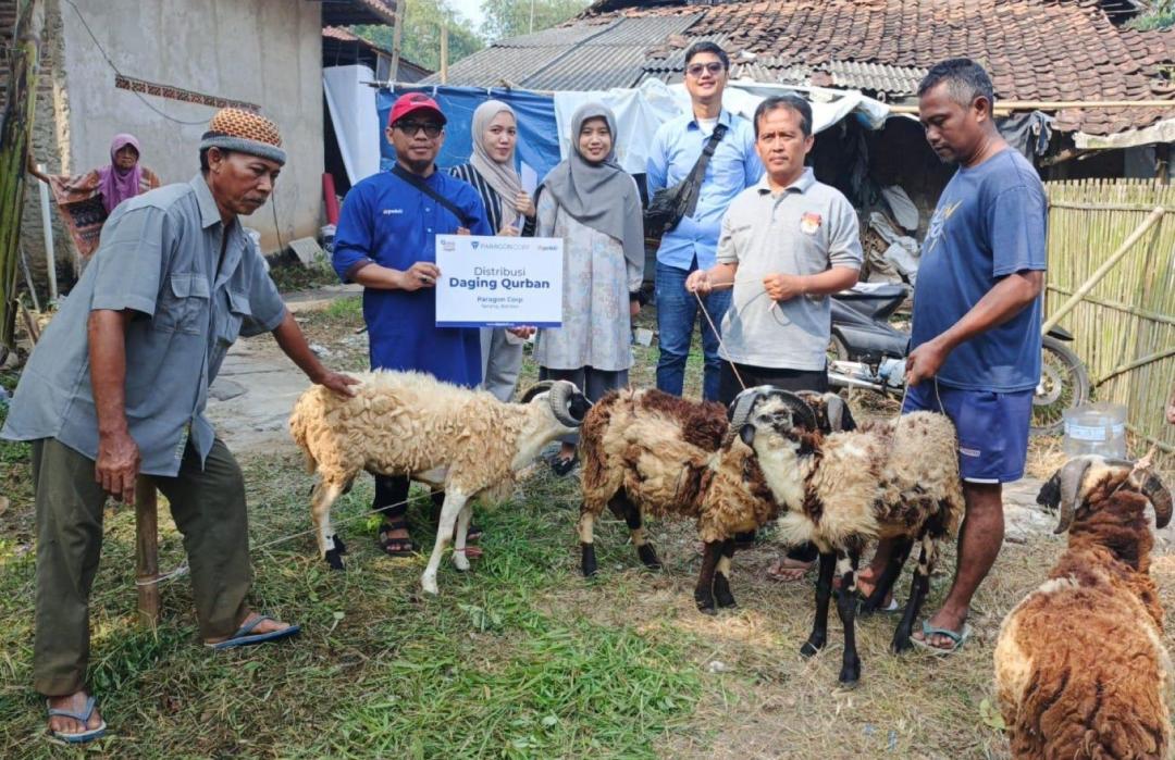 PT Paragon Bersama DT Peduli Banten Salurkan Hewan Qurban di Hari Raya Iduladha 1446 H 