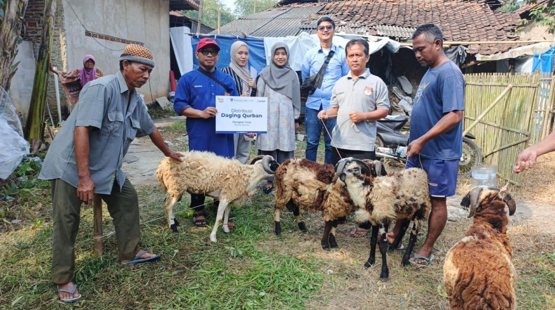 PT Paragon Bersama DT Peduli Banten Salurkan Hewan Qurban di Hari Raya Iduladha 1446 H 