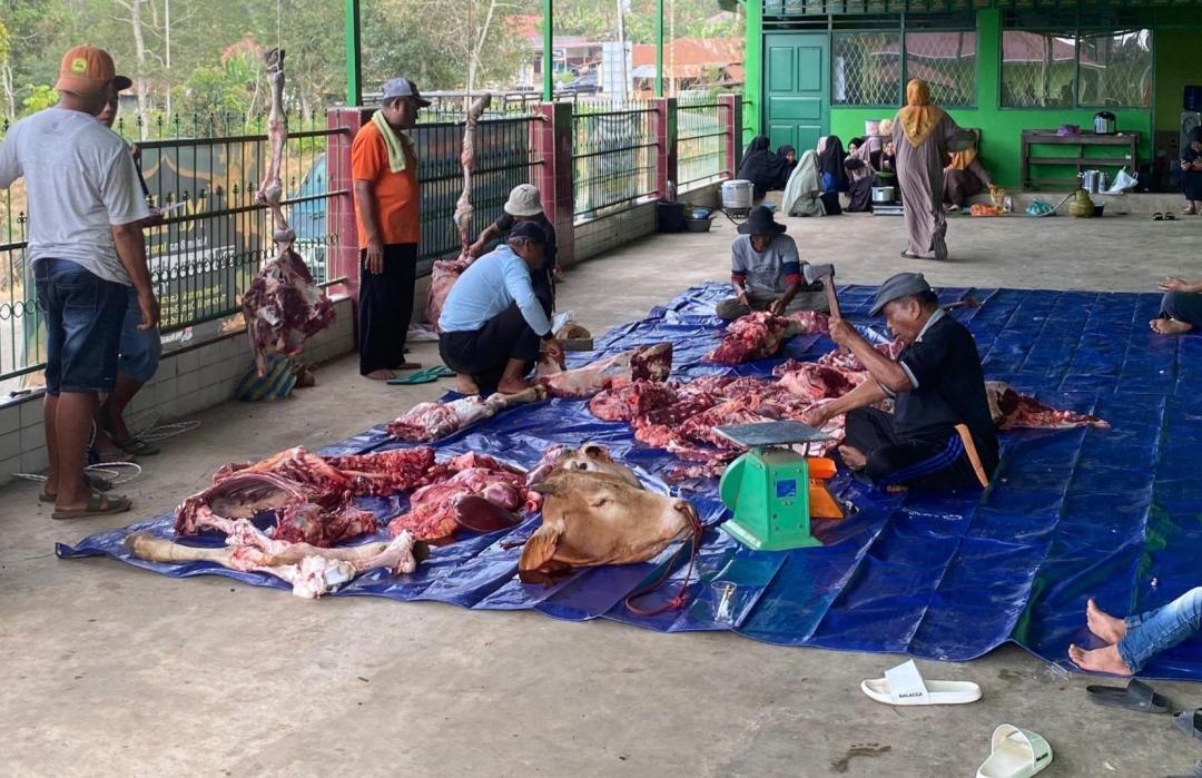 Santri Rumah Tahfidz Qur'an Wujudkan Semangat Pengabdian Melalui Qurban