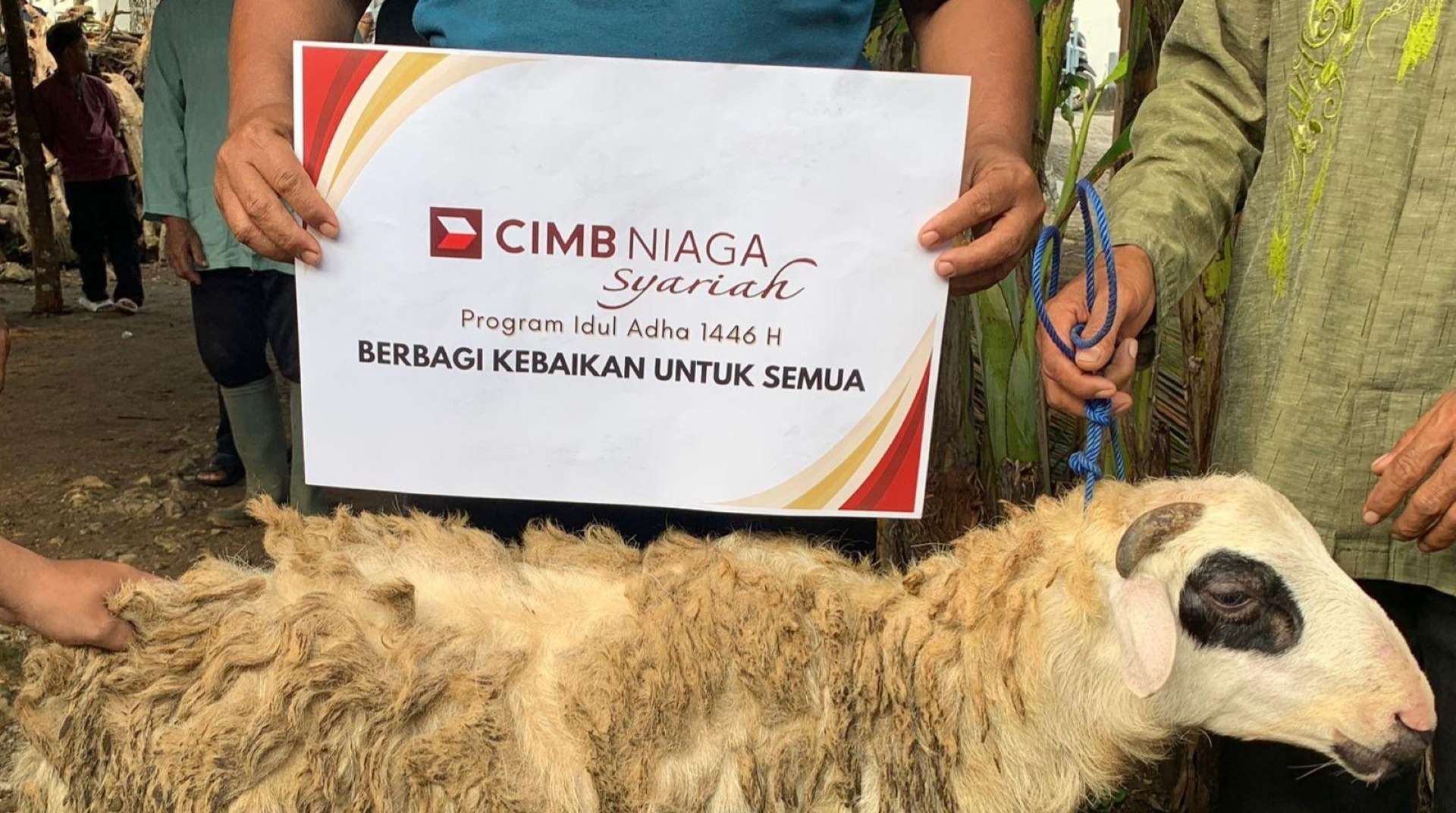 CIMB Niaga Syariah Bersama DT Peduli Yogyakarta Salurkan Enam Ekor Domba Qurban ke Bantul dan Gunungkidul 