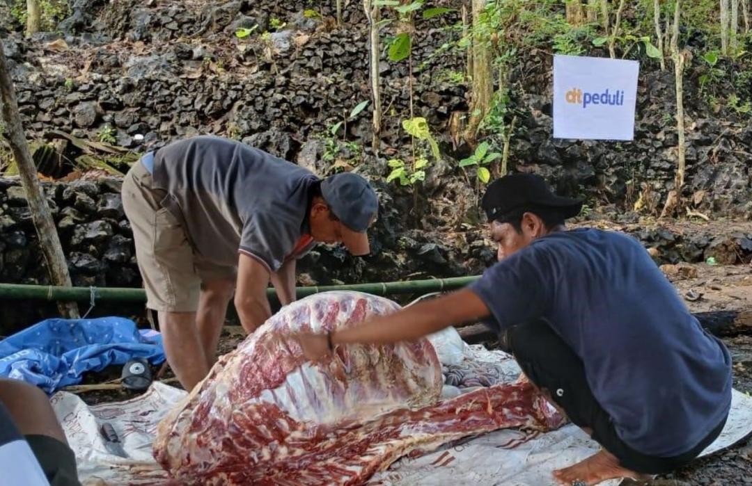 Warga Dusun Jambu Rasakan Kebahagiaan Iduladha Lewat Qurban DT Peduli Yogyakarta 