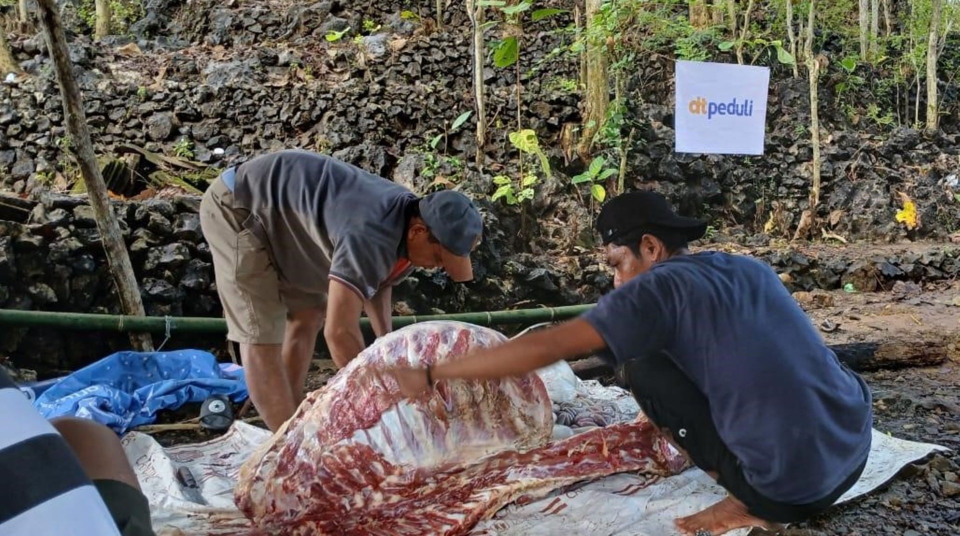 Warga Dusun Jambu Rasakan Kebahagiaan Iduladha Lewat Qurban DT Peduli Yogyakarta 