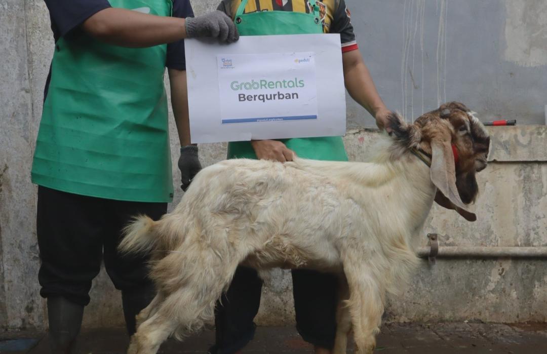 DT Peduli dan Grab Rental Bali Salurkan Qurban untuk Mitra Pengemudi 