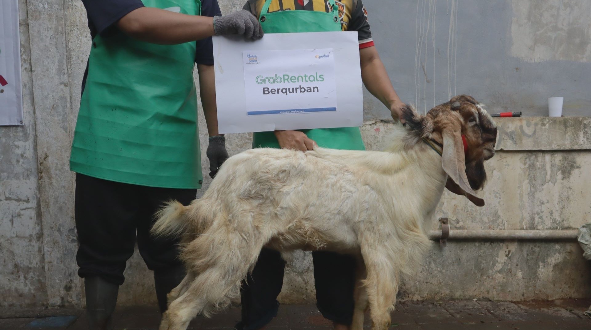 DT Peduli dan Grab Rental Bali Salurkan Qurban untuk Mitra Pengemudi 
