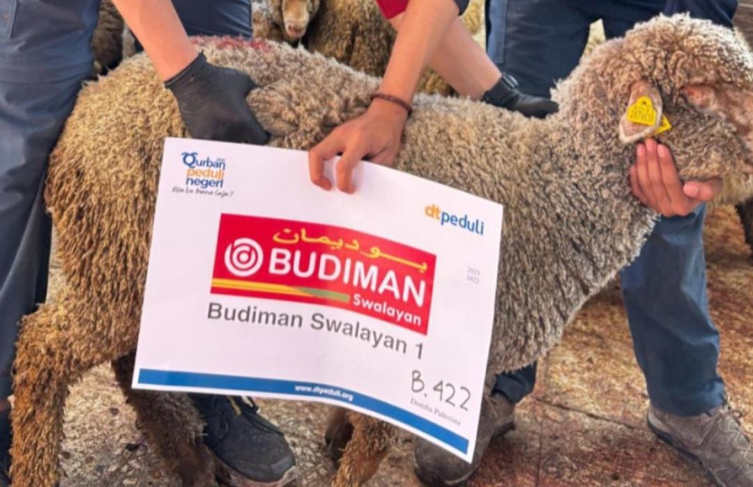 Budiman Swalayan Salurkan Qurban Terbaik untuk Palestina Melalui DT Peduli Sumbar 