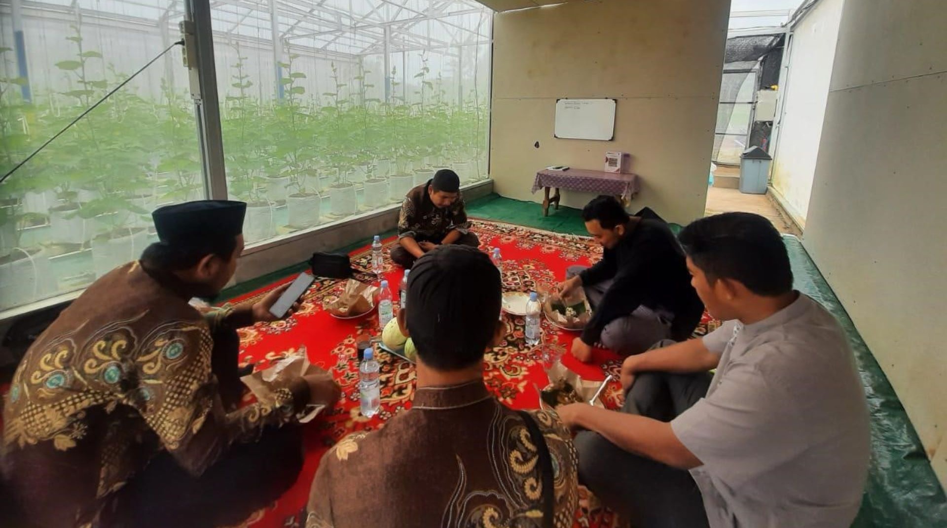 Persiapan Open Farm, DT Peduli Lubuklinggau Lakukan Pendampingan Tani Mandiri Green House Mentari Farm Melon 