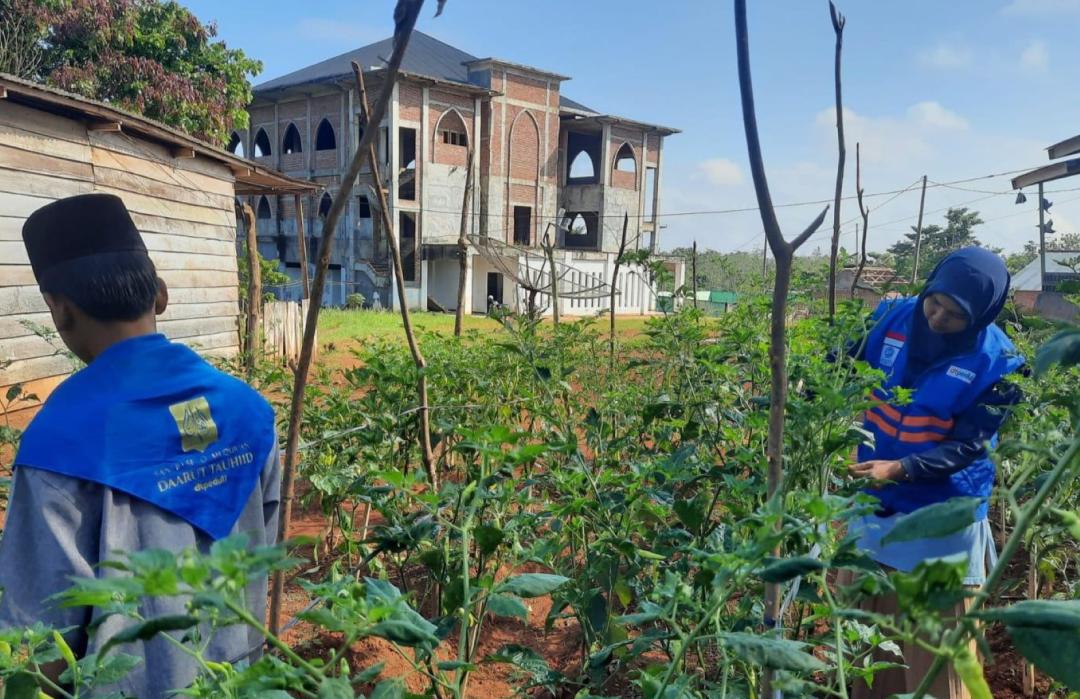 Penuhi Kebutuhan Santri, Sekolah Qur'an Daarut Tauhiid Bertani Mandiri 