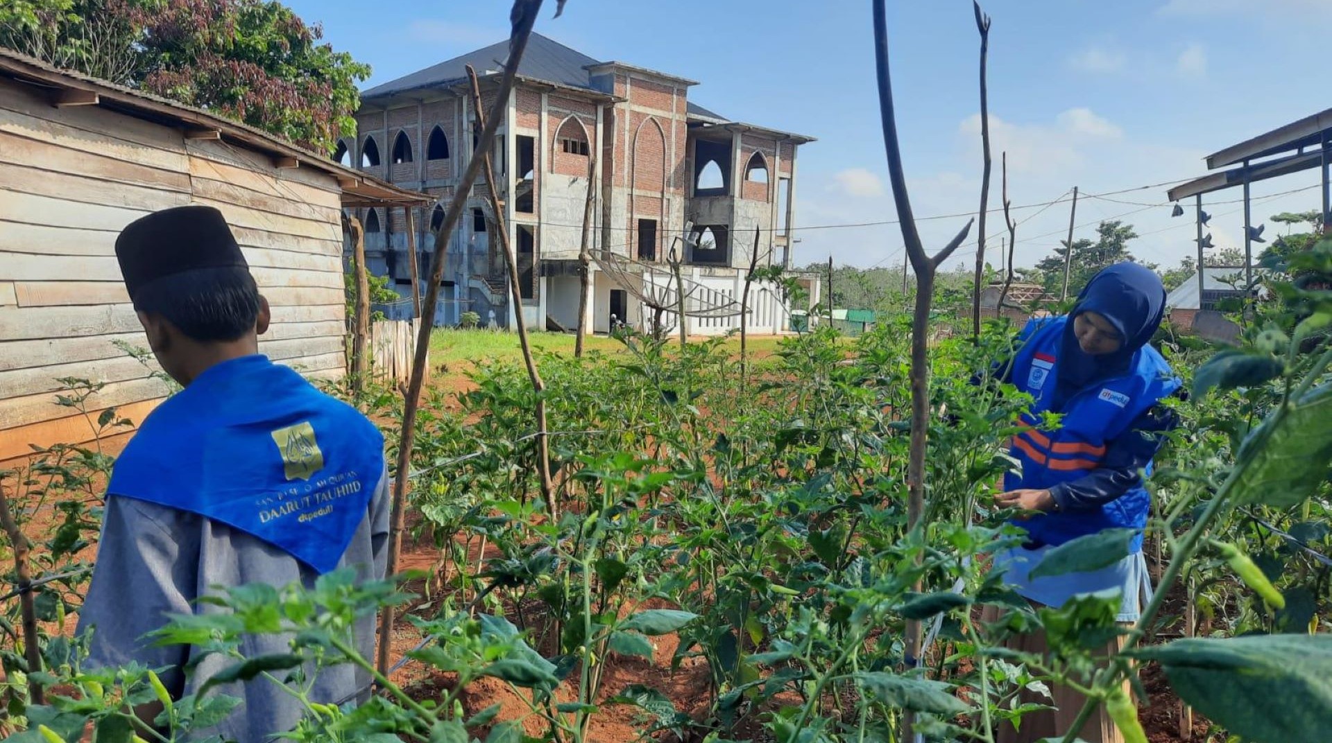Penuhi Kebutuhan Santri, Sekolah Qur'an Daarut Tauhiid Bertani Mandiri 