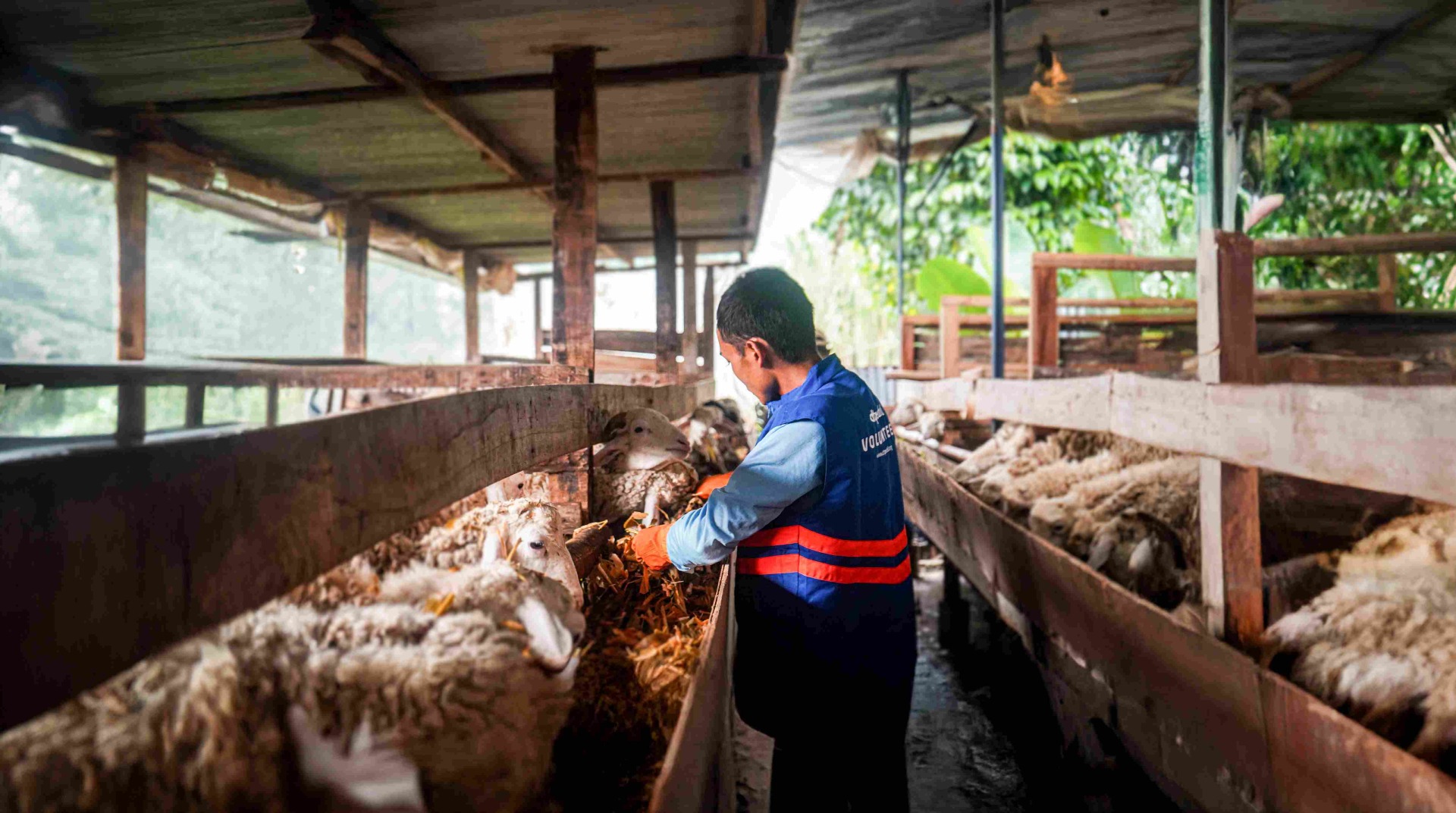 Program Dakwah Darut Tauhid Peduli - DTPeduli