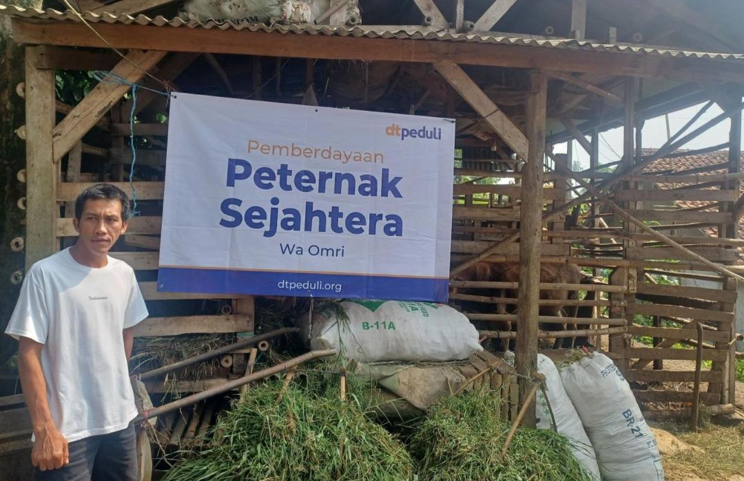 Persiapkan Iduladha, DT Peduli Bogor Distribusikan 25 Domba Jantan ke Rancabungur 