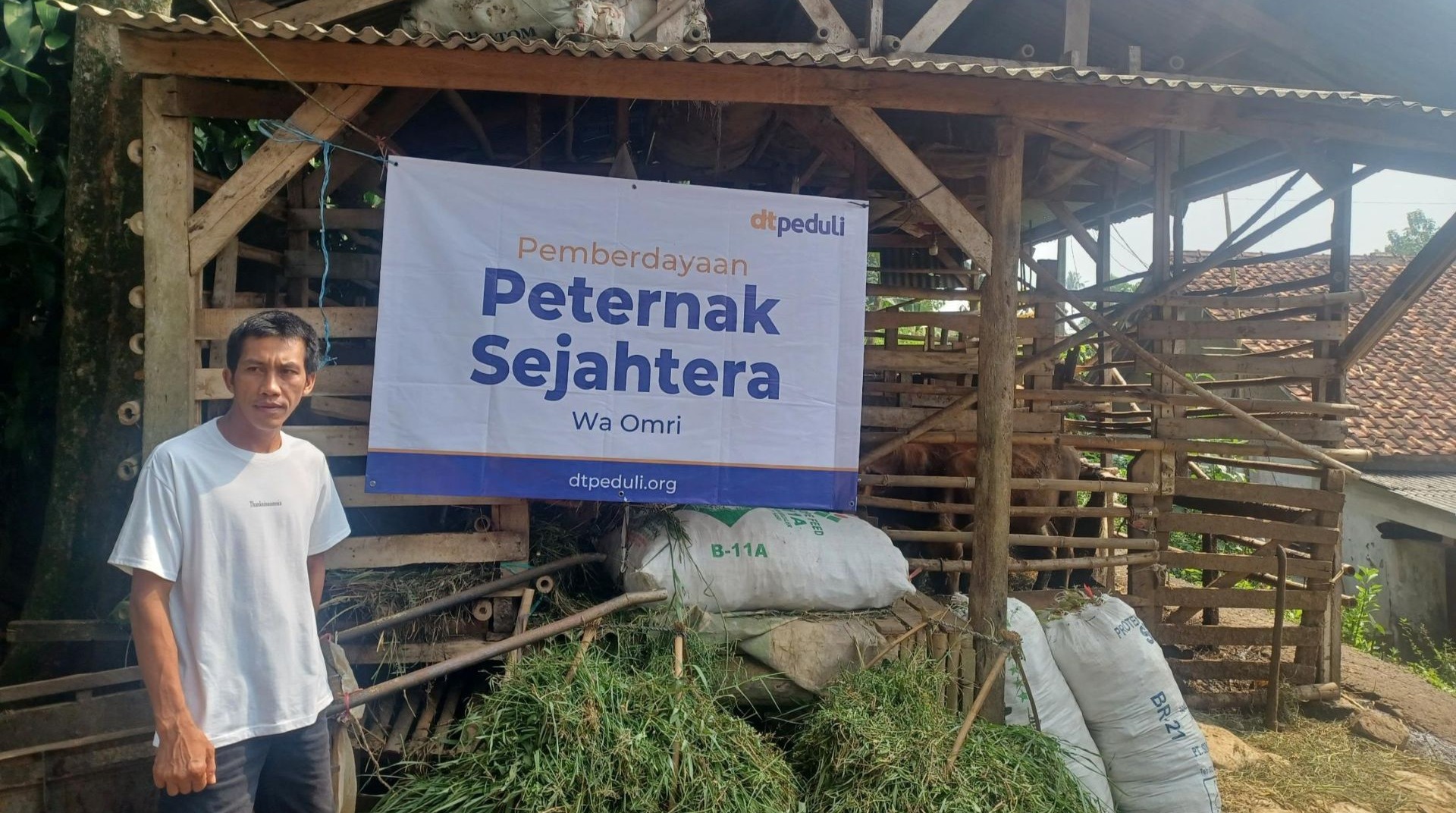 Persiapkan Iduladha, DT Peduli Bogor Distribusikan 25 Domba Jantan ke Rancabungur 