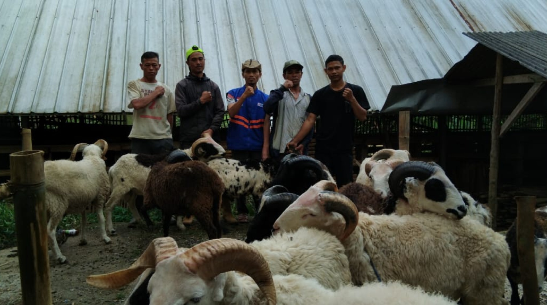 DT Peduli Garut Mulai Lakukan Pengadaan 30 Ekor Domba untuk Qurban 1448 H