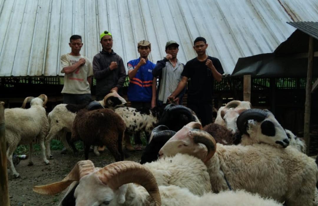 DT Peduli Garut Mulai Lakukan Pengadaan 30 Ekor Domba untuk Qurban 1448 H