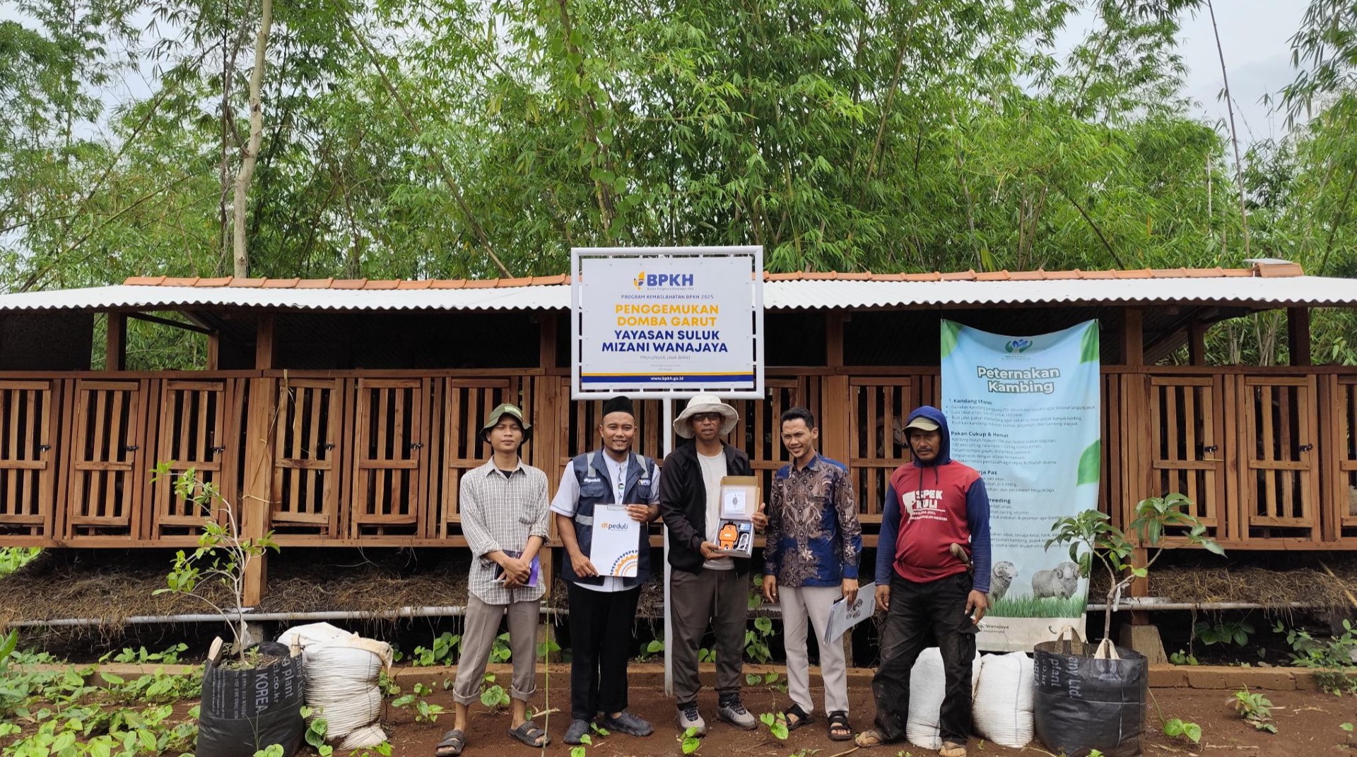 Program Kemaslahatan BPKH: DT Peduli Cirebon Monev Progres Penggemukan Domba Garut di Majalengka