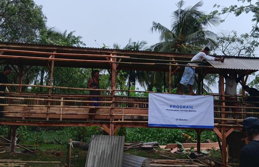 Penguatan Peternakan Bekasi, DT Peduli Bekasi Bangun Fasilitas Kandang Standar