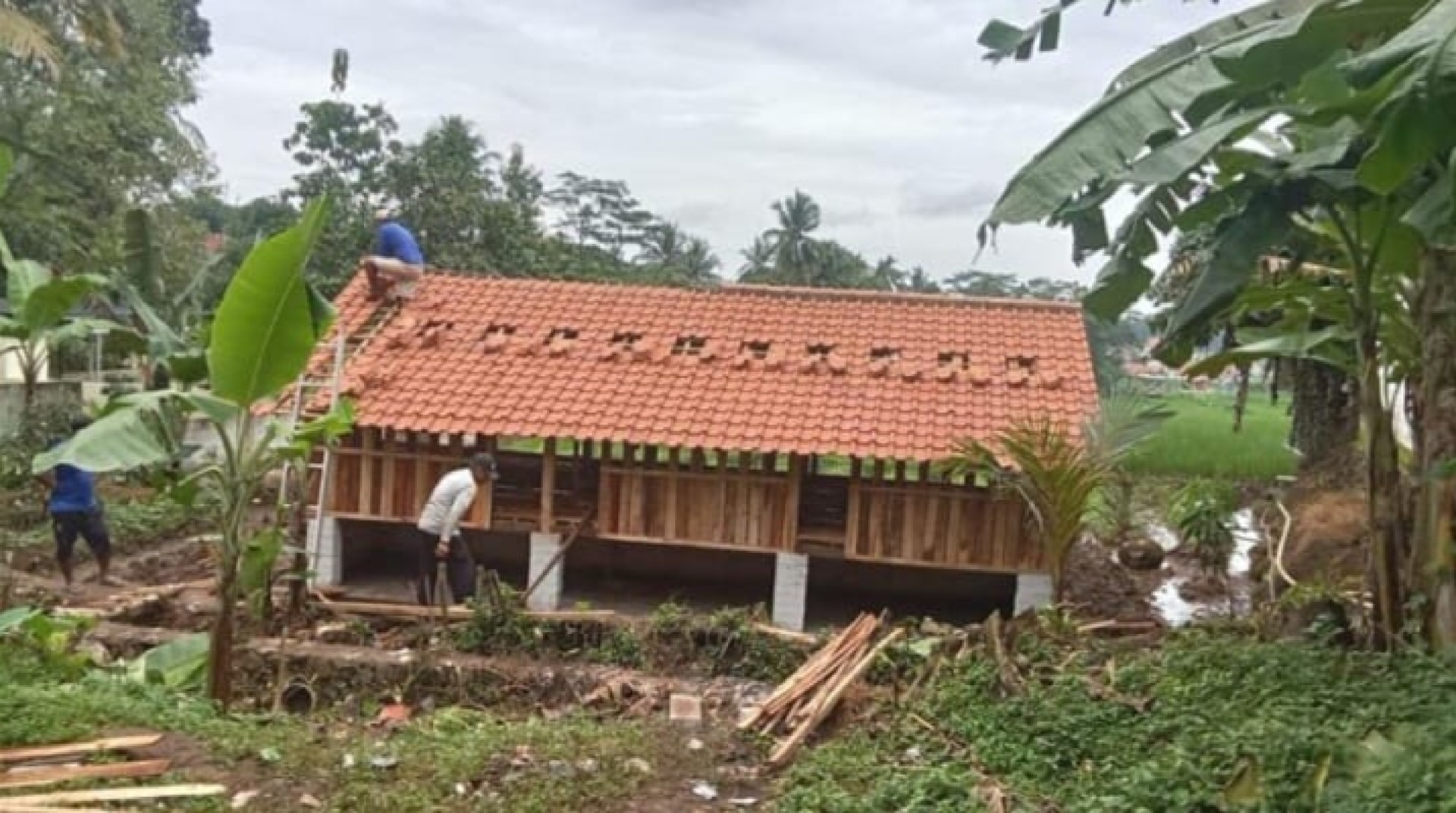 Dorong Kemandirian Ekonomi dengan Bangun Kandang Domba 