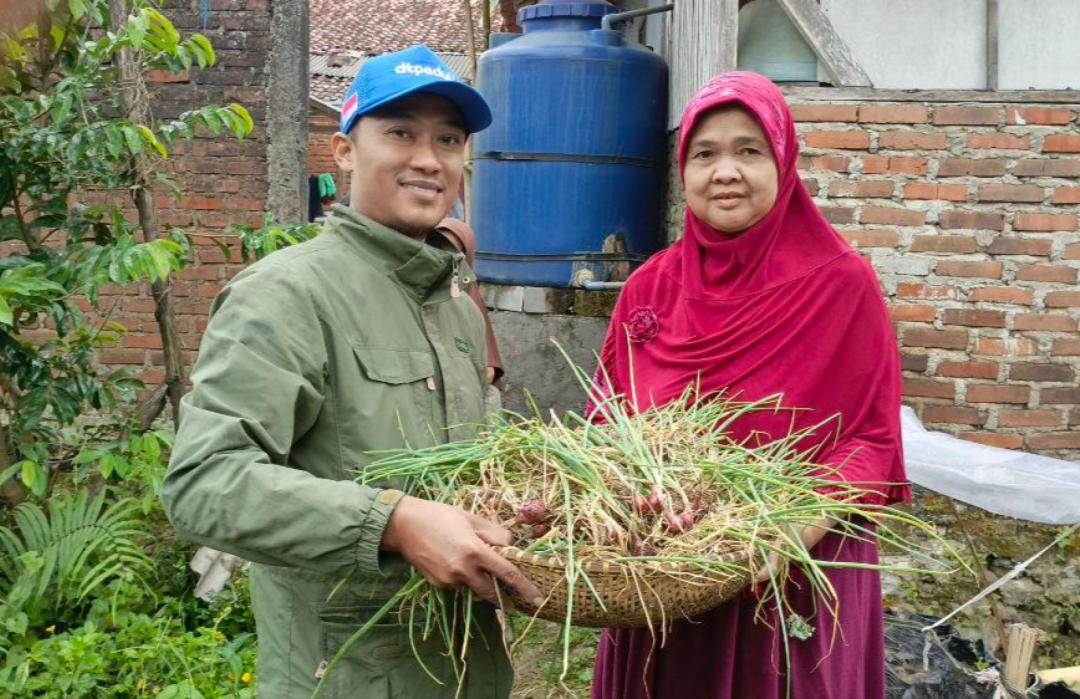 DT Peduli Tasik Panen Perdana Bawang Merah Bersama Penerima Manfaat