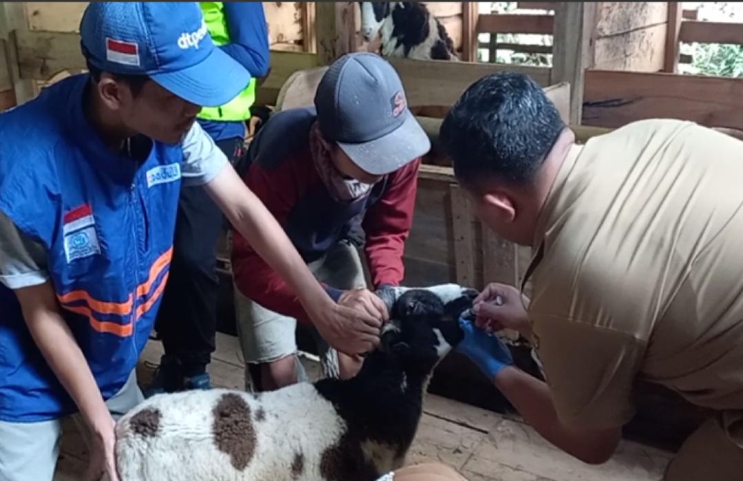 DT Peduli Garut Sinergi dengan Dinas Peternakan, Wujudkan Peternak Sejahtera dan Qurban Berkualitas