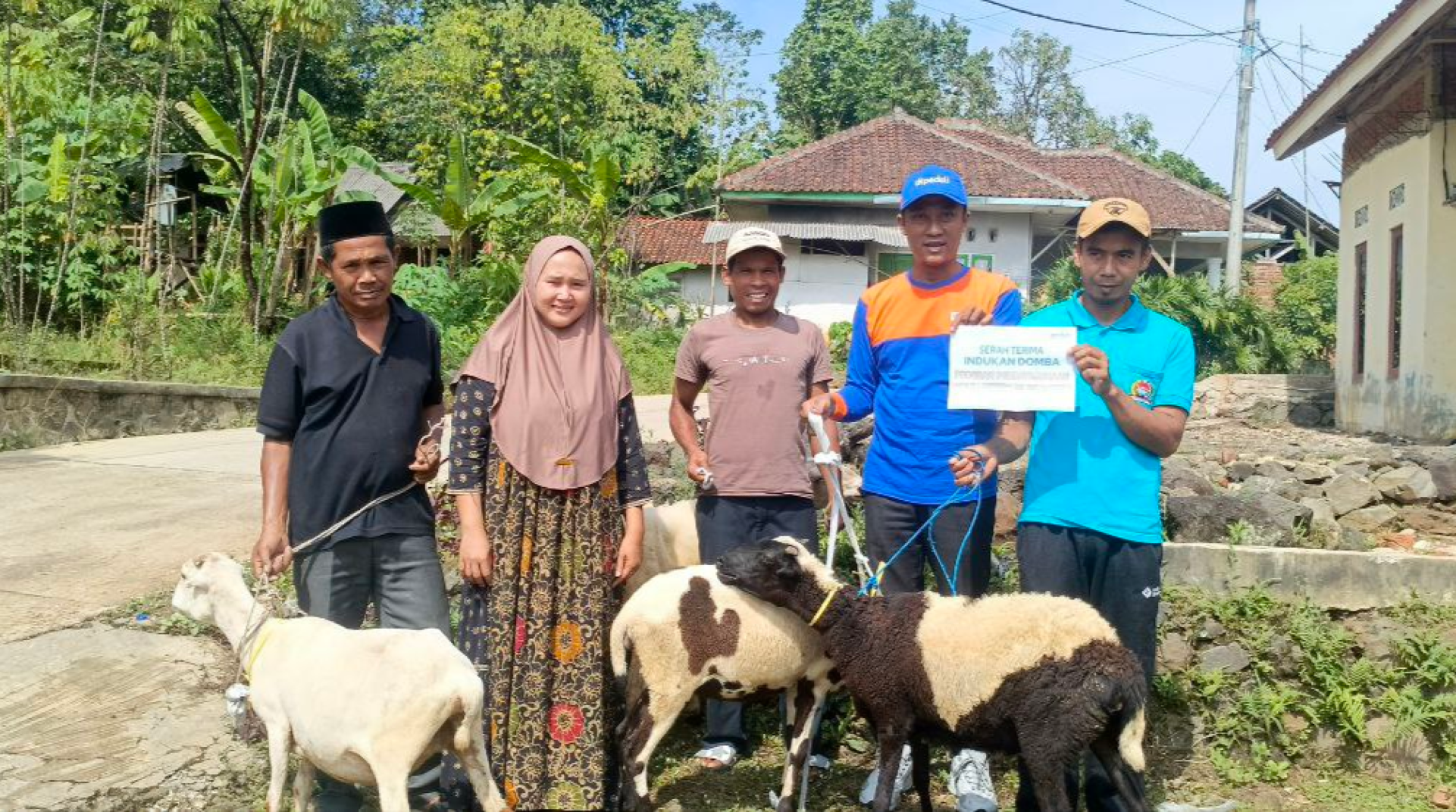 Harapan Baru di Tahun Baru, DT Peduli Tasikmalaya Gulirkan Program Indukan Domba untuk Warga Ciatal 