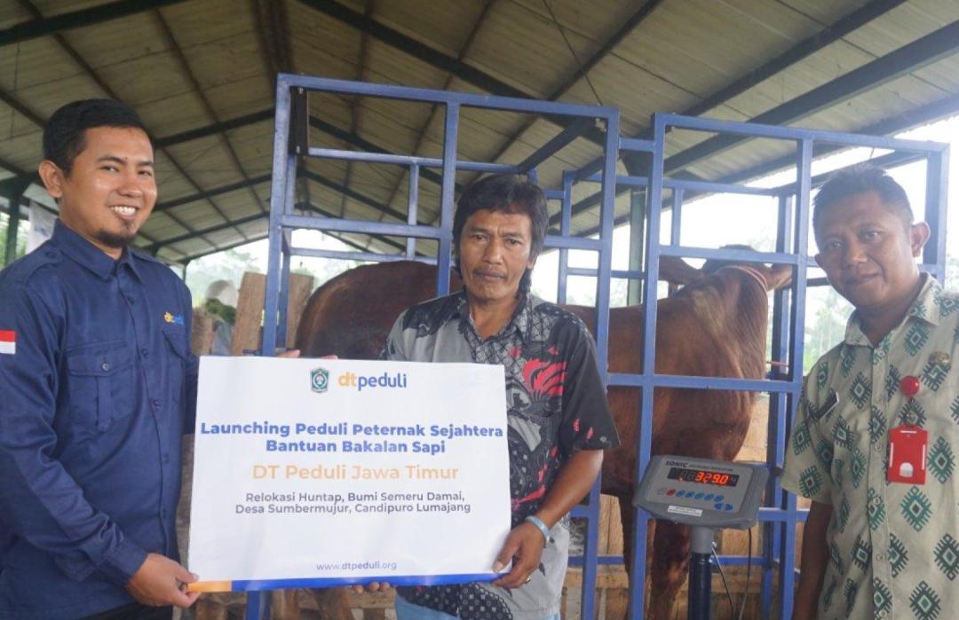 Salurkan Program Peduli Peternak Sejahtera, DT Peduli Jatim Dukung Pemulihan Ekonomi Penyintas Semeru