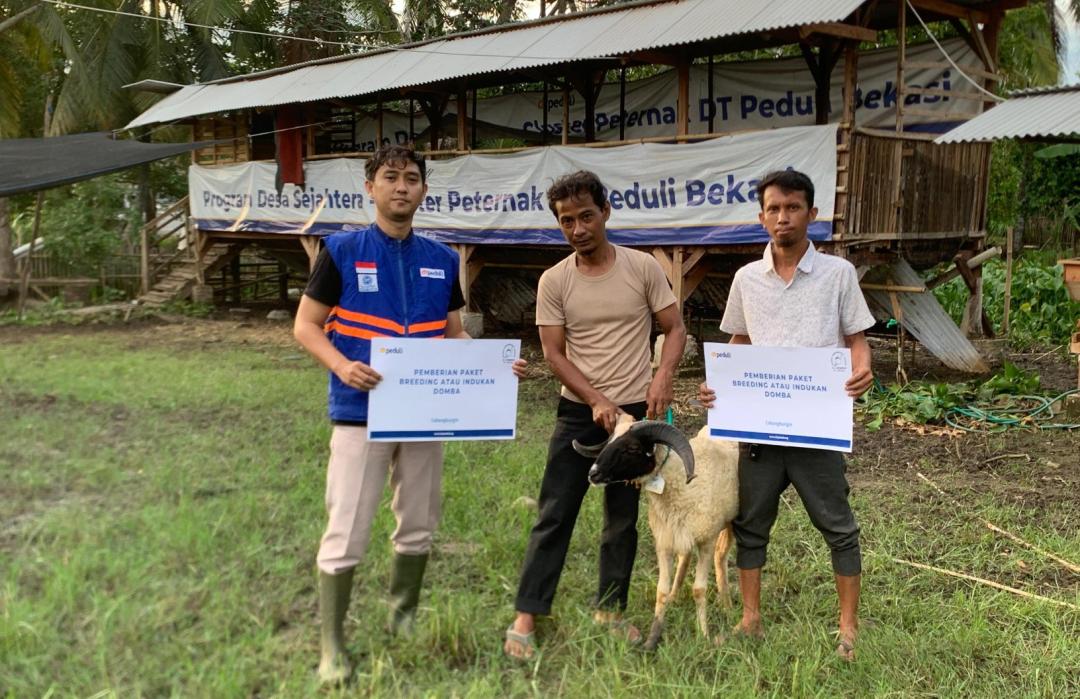 DT Peduli Bekasi Salurkan Bantuan Domba untuk Kelompok Binaan Peternak di Desa Lenggah Sari