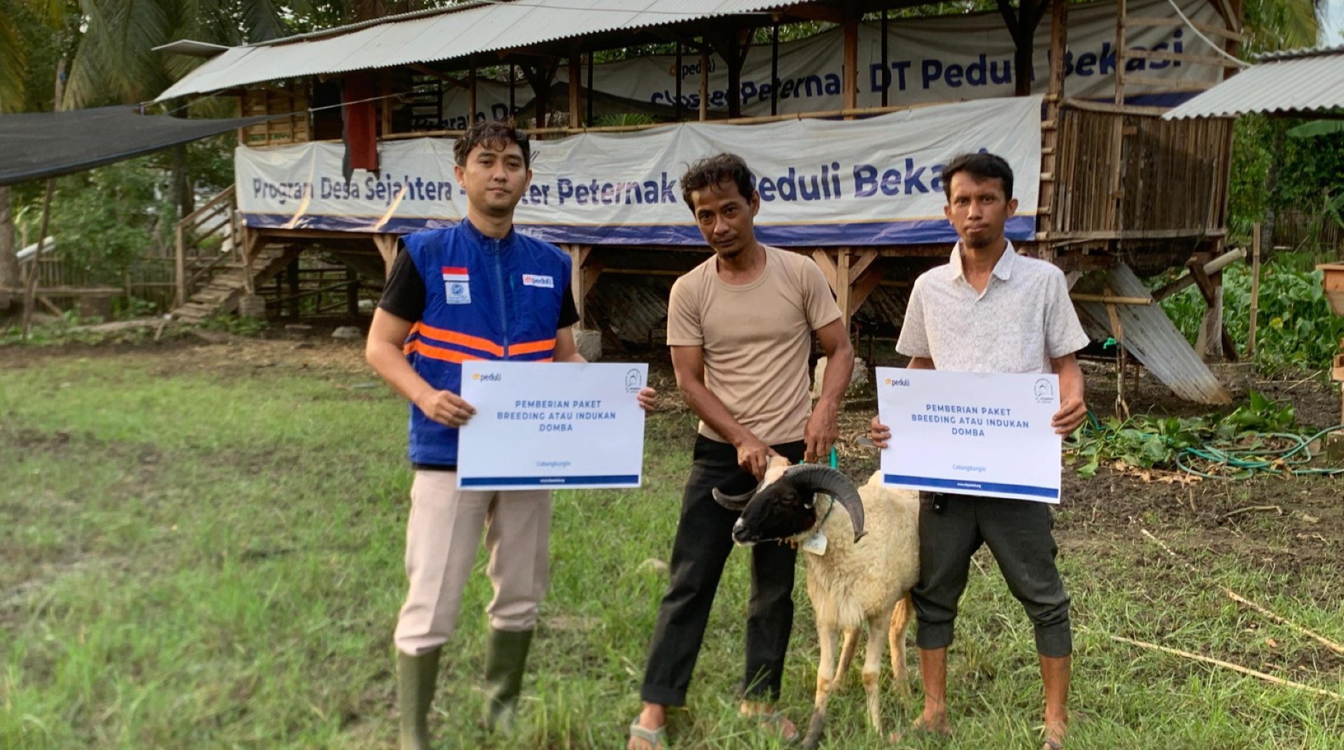 DT Peduli Bekasi Salurkan Bantuan Domba untuk Kelompok Binaan Peternak di Desa Lenggah Sari