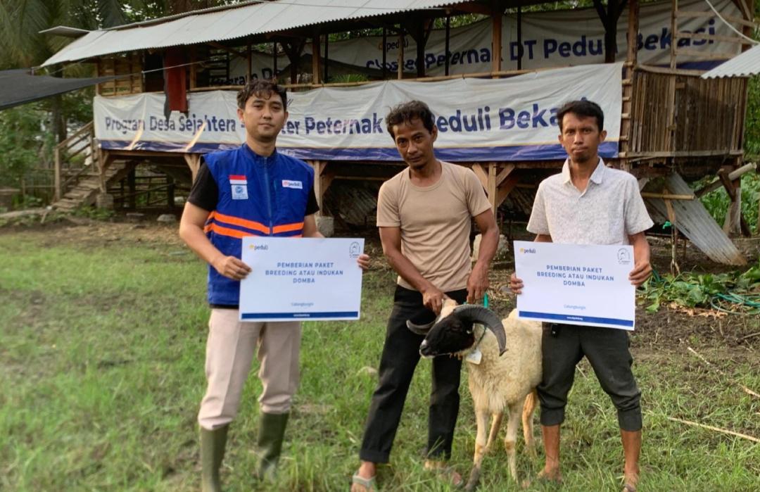 DT Peduli Bekasi Salurkan Bantuan Domba untuk Kelompok Binaan Peternak di Desa Lenggah Sari