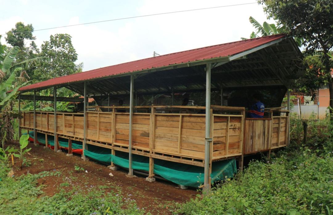 Pembangunan Kandang Domba Kampung Haji Masuki Tahap Akhir, Siap Dukung Pemberdayaan Ekonomi Warga 