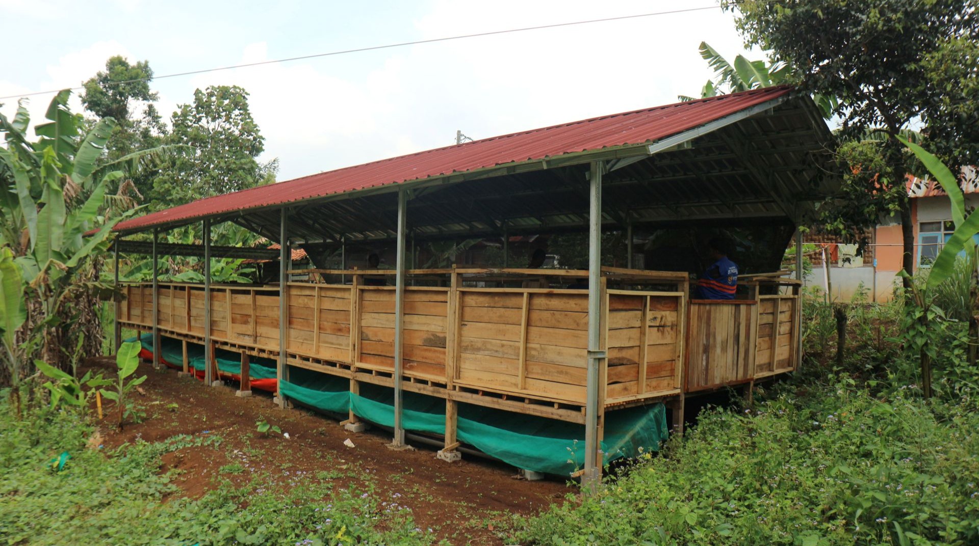 Pembangunan Kandang Domba Kampung Haji Masuki Tahap Akhir, Siap Dukung Pemberdayaan Ekonomi Warga 