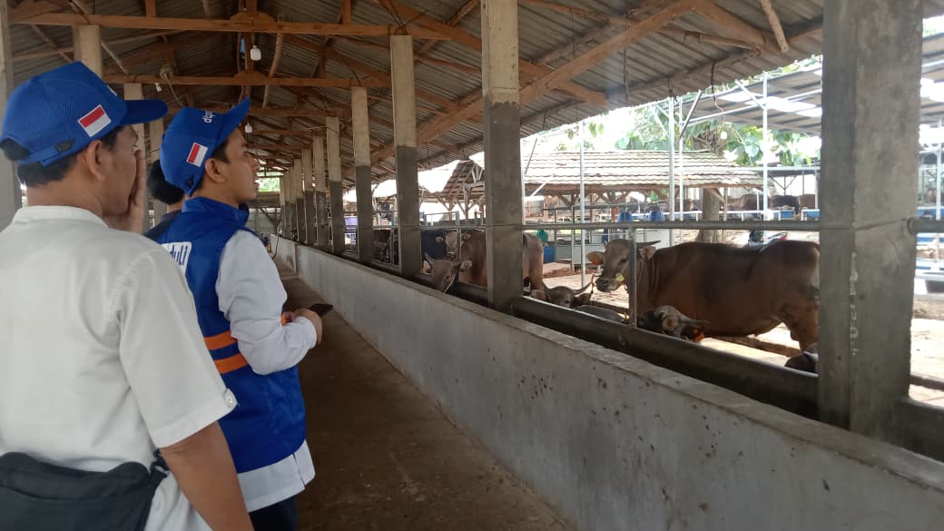 Ikhtiar Menjaga Kepercayaan Para Muqorib, DT Peduli Jakarta Perketat Verifikasi Hewan Kurban di Gunungsindur, Bogor 