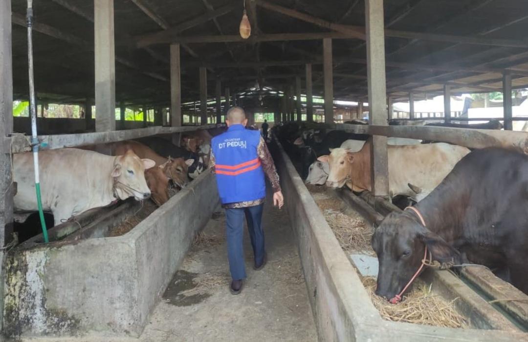 DT Peduli Lampung Lakukan Survei Persiapan Hewan Qurban di Kandang Mitra