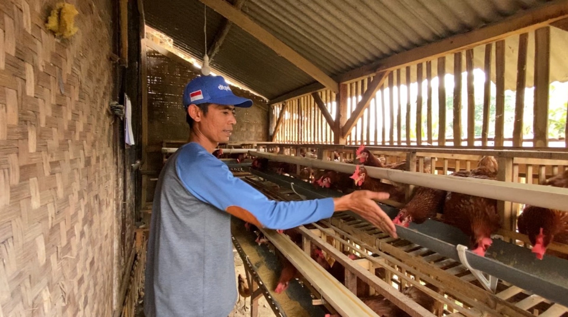  Inilah Kisah Sukses Jajang Rohmat, Penerima Manfaat Program Pemberdayaan DT Peduli Garut 