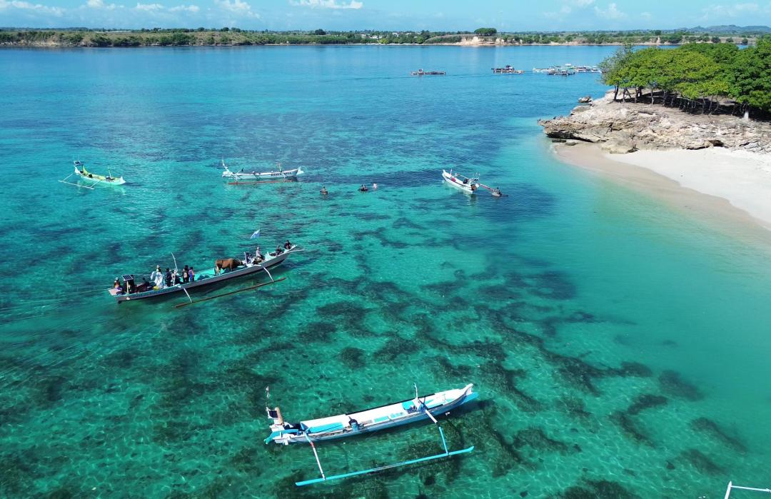 Mengantar Bahagia Qurban ke Pulau Maringkik 