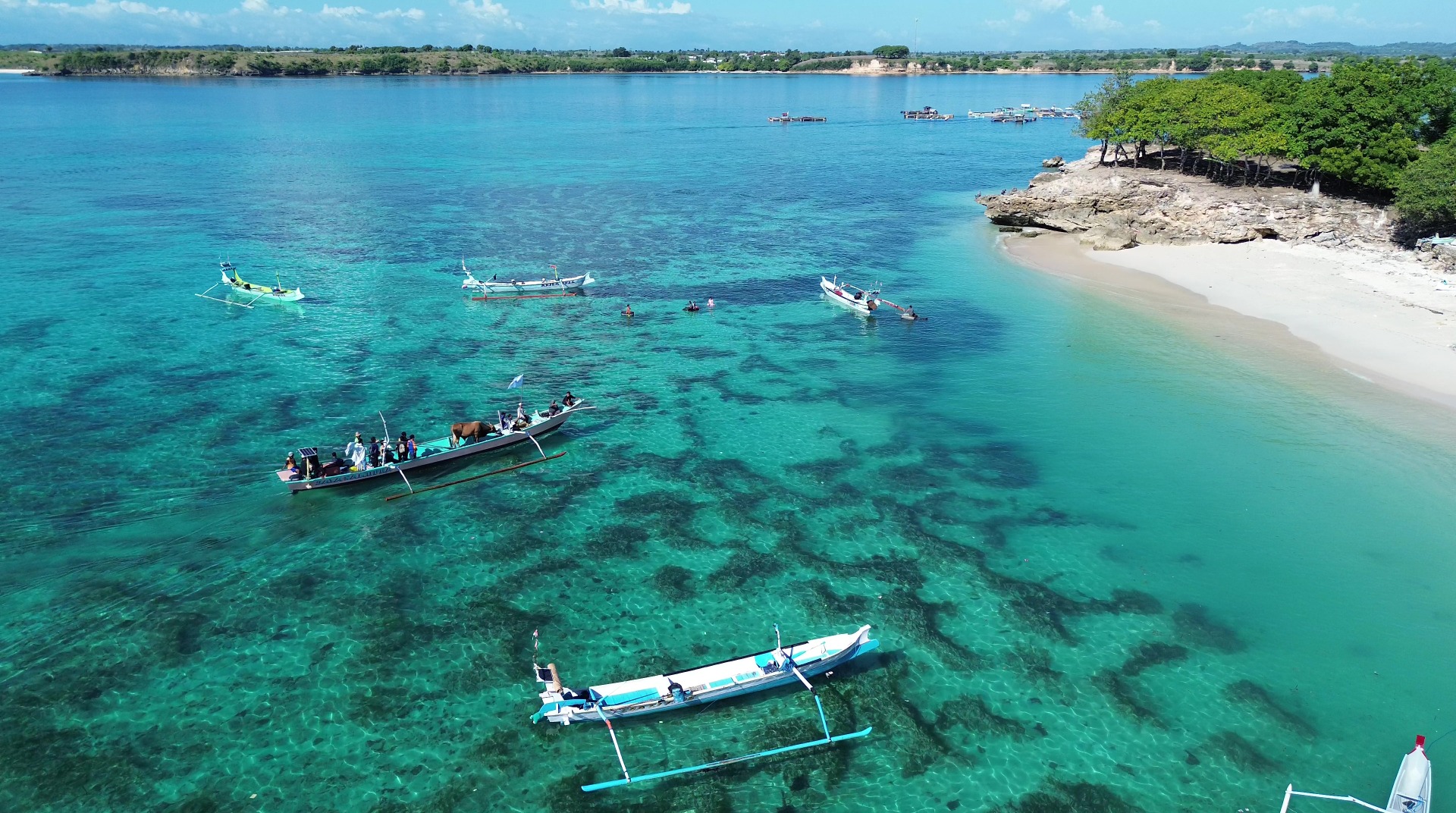 Mengantar Bahagia Qurban ke Pulau Maringkik 
