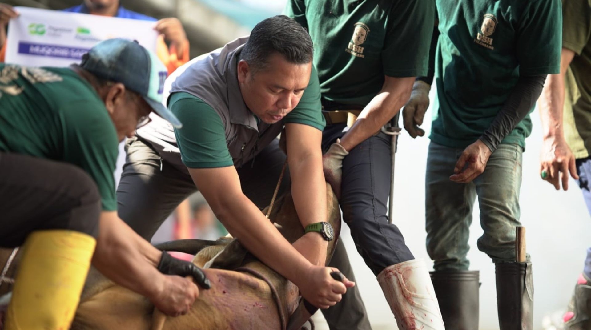 Ratusan Tangan Tebar Kebaikan Qurban Pegadaian Sumbagsel 
