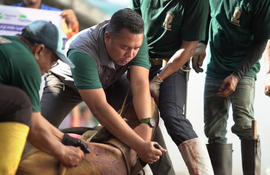 Ratusan Tangan Tebar Kebaikan Qurban Pegadaian Sumbagsel 